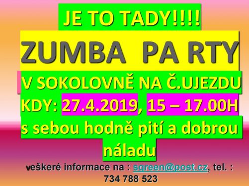 ZUMBA PARTY