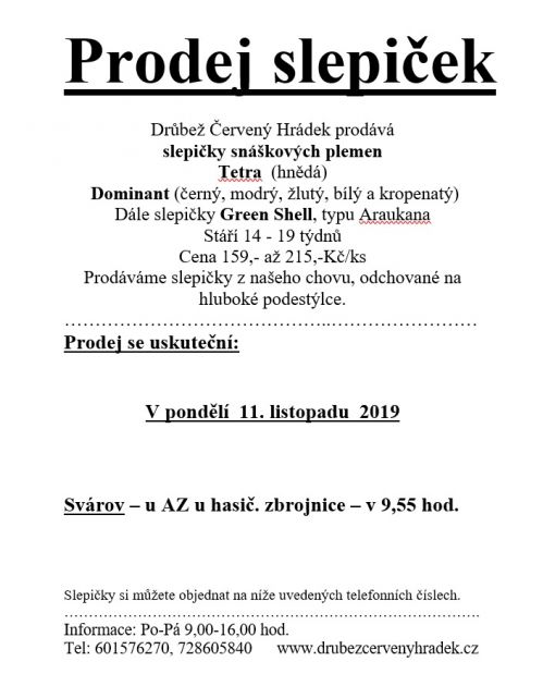 prodej slepiček - leták