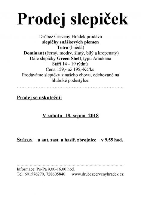 prodej slepiček