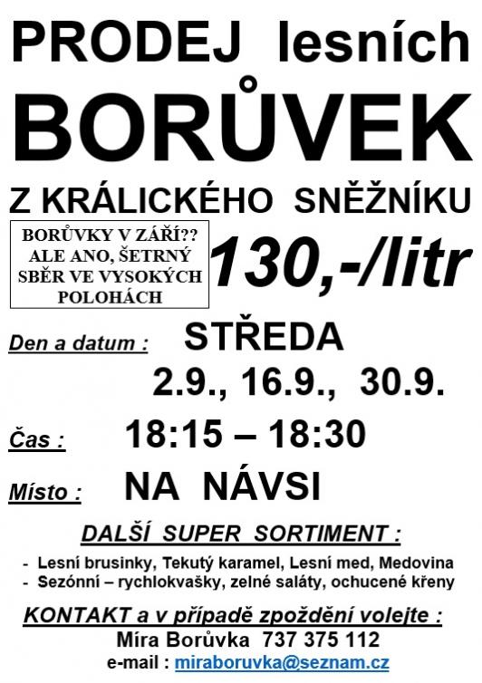 Prodej Borůvek